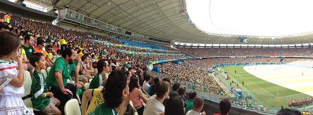 瑞典国家队